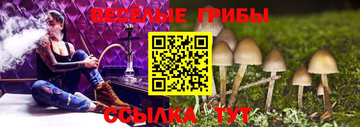 Галлюциногенные грибы Cubensis Когалым